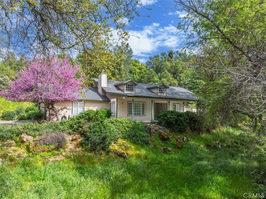 42852 Badger Circle Dr, Coarsegold, CA 93614